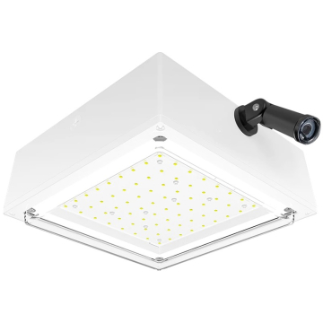 RAB 10W LED Canopy Light - 120V Swivel Photocell - Drop Lens - 4000K - 1,962 Lumens - 120V - White