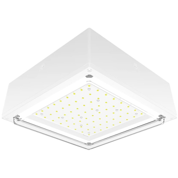 RAB 10W LED Canopy Light - Drop Lens - 4000K - 1,962 Lumens - 120-277V - White