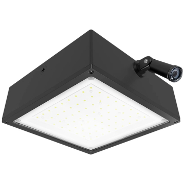 RAB 10W LED Canopy Light - 120V Swivel Photocell - Flat Lens - 5000K - 2,009 Lumens - 120V - Bronze
