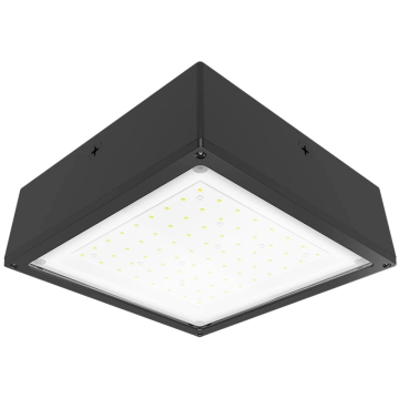 RAB 10W LED Canopy Light - Flat Lens - 5000K - 2,009 Lumens - 120-277V - Bronze