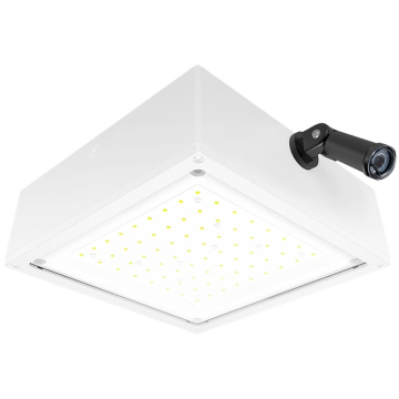 RAB 10W LED Canopy Light - 120V Swivel Photocell - Flat Lens - 5000K - 2,009 Lumens - 120V - White