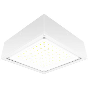 RAB 10W LED Canopy Light - Flat Lens - 5000K - 2,009 Lumens - 120-277V - White
