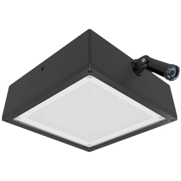 RAB 10W LED Canopy Light - 120V Swivel Photocell - Frosted Flat Lens - 5000K - 1,851 Lumens - 120V - Bronze