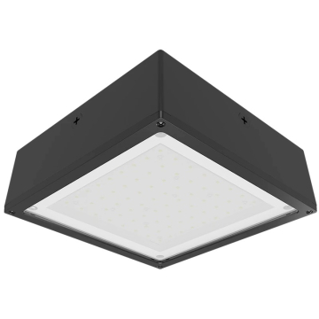 RAB 10W LED Canopy Light - Frosted Flat Lens - 5000K - 1,851 Lumens - 120-277V - Bronze