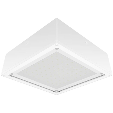 RAB 10W LED Canopy Light - Frosted Flat Lens - 5000K - 1,851 Lumens - 120-277V - White