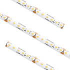 Trulux Max Run LED Tape Light - 65.6FT Reel - 3000K - 1.5W / FT - 110 Lumens / FT - 24V
