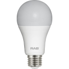 RAB 12W LED A19 Lamp - 4000K - 1,100 Lumens - 120V