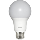 RAB 9W LED A19 Lamp - 2700K - 800 Lumens - 120V