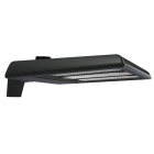 RAB A22 Field Adjustable LED Area Light - 320 | 280 | 250W - CCT Selectable - Type III - Pole Mount - 480V - Bronze
