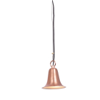 Corona Lighting 2W LED Pendant Light - 2700K - 200 Lumens - 12V - Copper