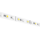 DiodeLED Dazzle RGB + White LED Tape Light - 20FT Reel - 4.39W / FT - 198 Lumens / FT - 24V