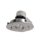 Nora Lighting 4" Pearl LED Retrofit Downlight - Round Gimbal - 800 Lumens - Dim to Warm - Natural Metal