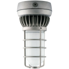 RAB 13W LED Vaporproof Ceiling Mount - 5000K - 729 Lumens - 120-277V