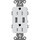 Lutron Claro 15A Tamper Resistant Receptacle - Dual USB - Mist