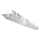 TechBrite 24