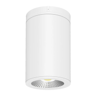 RAB CD34 6" LED Surface / Pendant Mount Cylinder - 18 | 24 | 30W - CCT Selectable - 120-277V - White