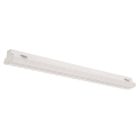 Day-Brite / CFI 48" Wire Guard for FluxStream Industrial