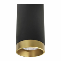 Westgate 3" Ceiling Mount Cylinder Trim - Anodized Gold