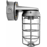 RAB 300W Max Wall Mount Vaporproof Light - White - 120V