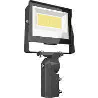RAB 60W X17 LED Flood Light - Slipfitter Mount - Photocell - CCT Selectable - 8,372 Lumens - 120-277V - Bronze