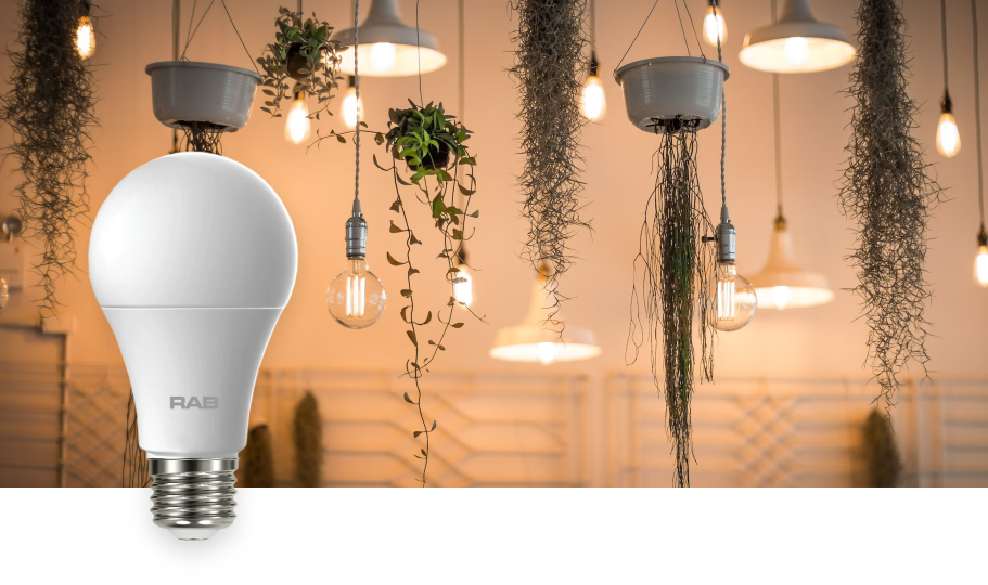RAB Lighting LED Lamps